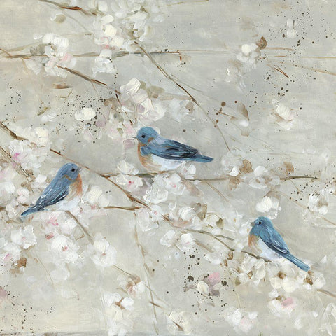 Blue Bird Melody White Modern Wood Framed Art Print by Swatland, Sally