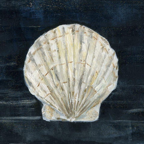 Night Shell I White Modern Wood Framed Art Print by Swatland, Sally