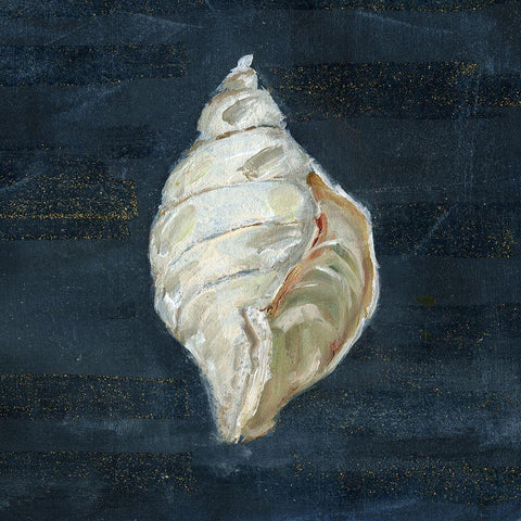 Night Shell II Black Ornate Wood Framed Art Print with Double Matting by Swatland, Sally