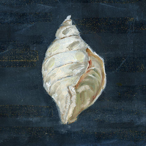 Night Shell II White Modern Wood Framed Art Print by Swatland, Sally