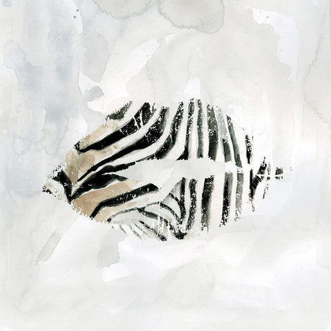 Zebra Kisses II White Modern Wood Framed Art Print by Robinson, Carol