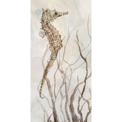 Neutral Seahorse I Black Modern Wood Framed Art Print with Double Matting by Robinson, Carol