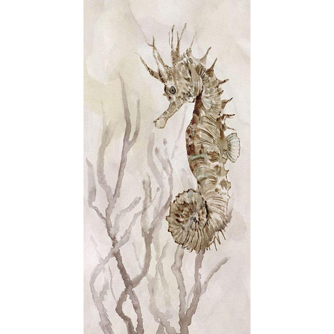 Neutral Seahorse II White Modern Wood Framed Art Print by Robinson, Carol