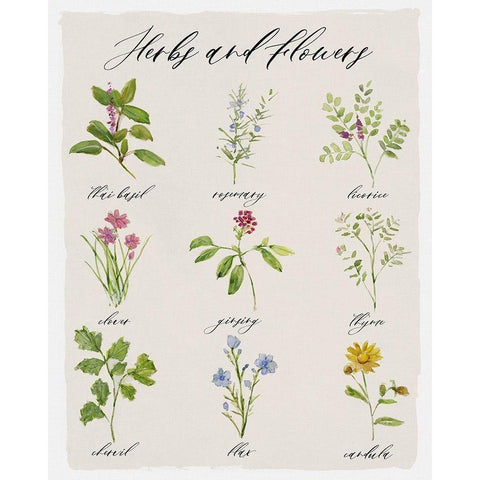 Herbs and Flowers Gold Ornate Wood Framed Art Print with Double Matting by Swatland, Sally