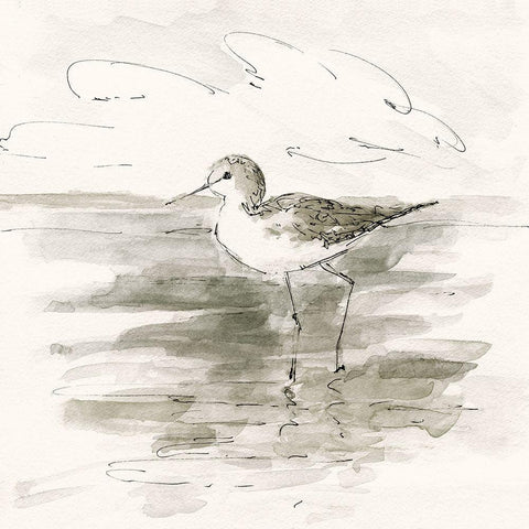 Sand Piper II White Modern Wood Framed Art Print by Swatland, Sally