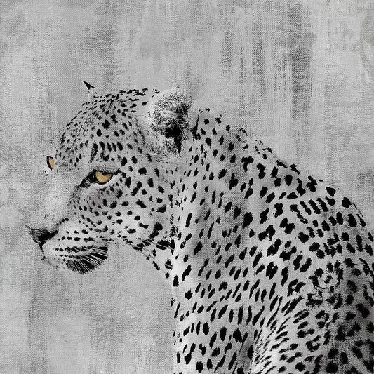 Image Only