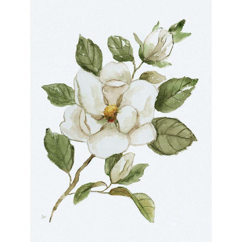 Magnolia Morning I White Modern Wood Framed Art Print by Nan