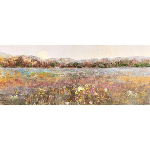 Meadow Sunrise Black Modern Wood Framed Art Print with Double Matting by Swatland, Sally