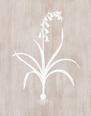 Botany Beauty I White Modern Wood Framed Art Print with Double Matting by CAD Designs