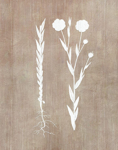 Botany Beauty III White Modern Wood Framed Art Print with Double Matting by CAD Designs