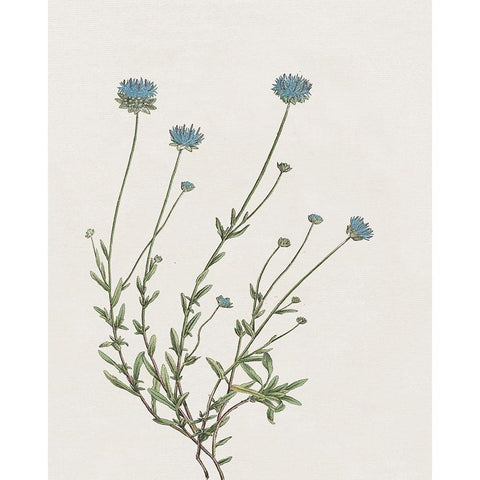 Blue Wispy I White Modern Wood Framed Art Print by Donovan, Kelly