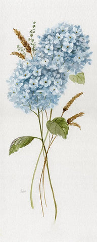 Petite Blue Hydrangea I White Modern Wood Framed Art Print with Double Matting by Nan