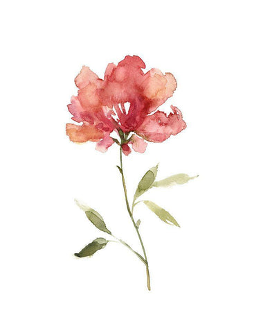 Botanical Beauty I Black Ornate Wood Framed Art Print with Double Matting by Robinson, Carol