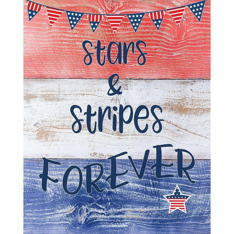 Stars and Stripes Forever Black Modern Wood Framed Art Print with Double Matting by CAD Designs