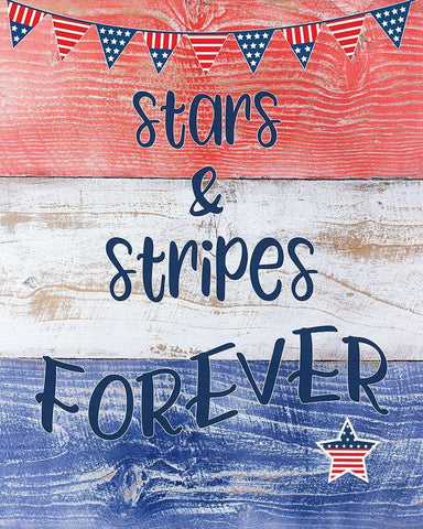 Stars and Stripes Forever White Modern Wood Framed Art Print with Double Matting by CAD Designs