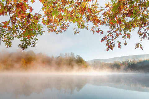 Autumn Misty White Modern Wood Framed Art Print with Double Matting by Delimont, Danita