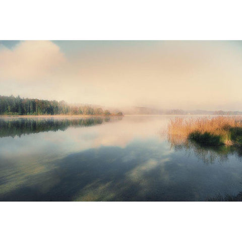 East Lake White Modern Wood Framed Art Print by Weisz, Irene