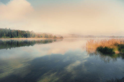 East Lake Black Ornate Wood Framed Art Print with Double Matting by Weisz, Irene