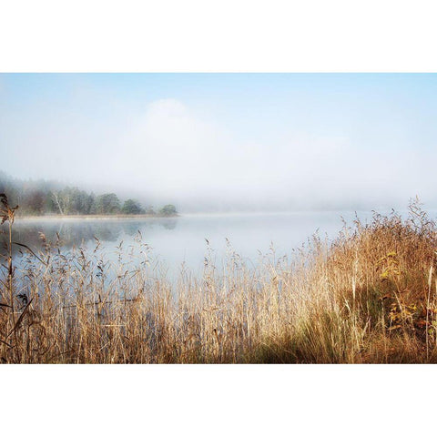 Enjoy Lovely Nature Black Modern Wood Framed Art Print by Weisz, Irene