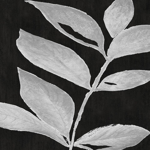 Translucent Silhouette I White Modern Wood Framed Art Print with Double Matting by Tava Studios