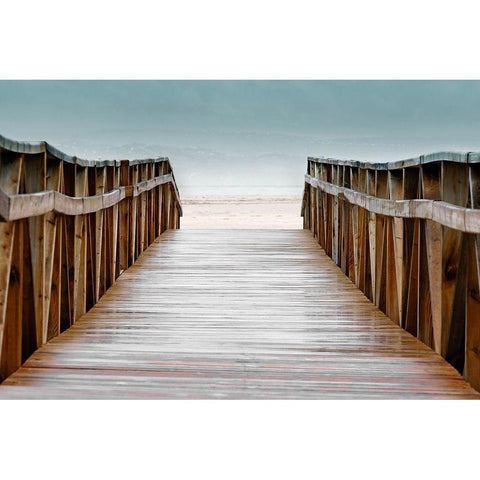 Ocean Boardwalk Black Modern Wood Framed Art Print by Delimont, Danita