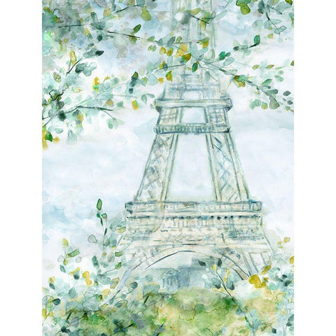 Paris Blooming White Modern Wood Framed Art Print by Robinson, Carol