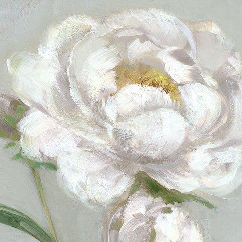 Peony Detail I White Modern Wood Framed Art Print with Double Matting by Swatland, Sally