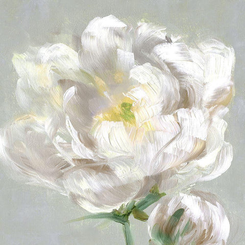 Peony Detail II Black Modern Wood Framed Art Print by Swatland, Sally