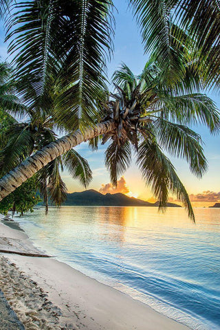 Beautiful Beach Sunset Black Ornate Wood Framed Art Print with Double Matting by Delimont, Danita