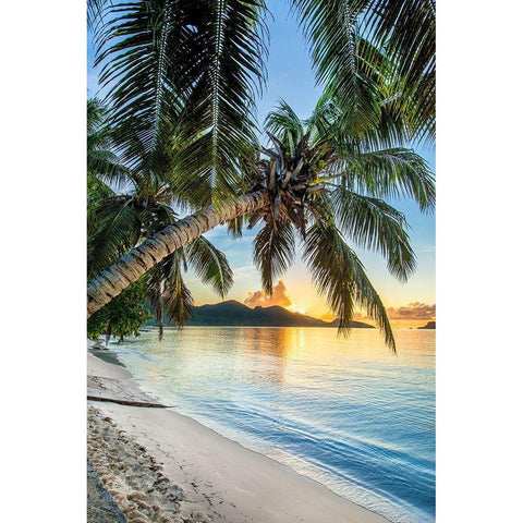 Beautiful Beach Sunset Gold Ornate Wood Framed Art Print with Double Matting by Delimont, Danita