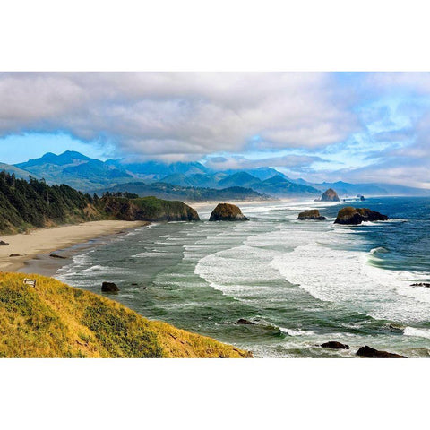 Canyon Beach Gold Ornate Wood Framed Art Print with Double Matting by Delimont, Danita