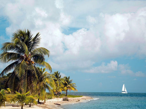 Caribbean Sea White Modern Wood Framed Art Print with Double Matting by Delimont, Danita