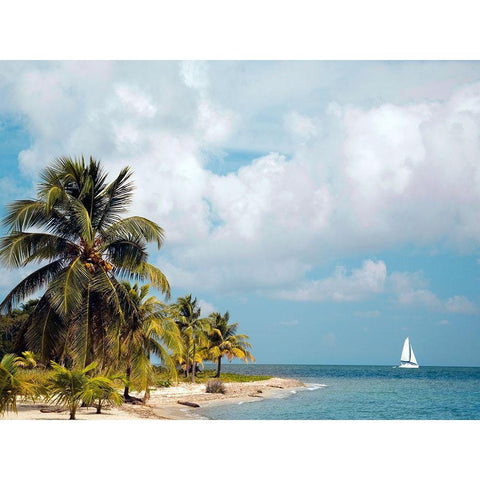 Caribbean Sea White Modern Wood Framed Art Print by Delimont, Danita