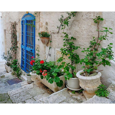 Front Door Oasis White Modern Wood Framed Art Print by Delimont, Danita