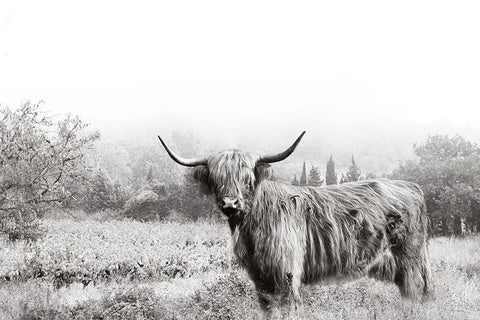 Highland Crossing White Modern Wood Framed Art Print with Double Matting by Delimont, Danita