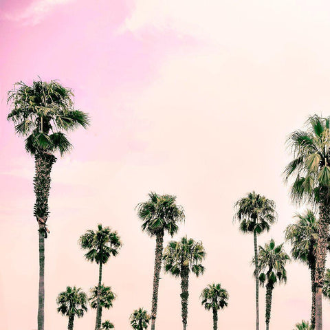 Laguna Beach I Black Modern Wood Framed Art Print by Carpentieri, Natalie