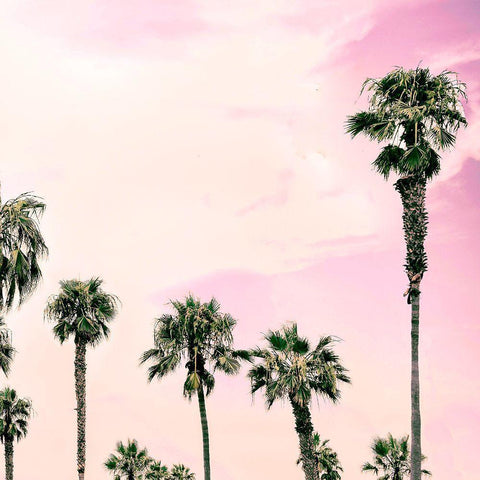 Laguna Beach II Black Modern Wood Framed Art Print with Double Matting by Carpentieri, Natalie