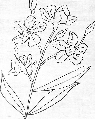 Botanical Sketch I Black Ornate Wood Framed Art Print with Double Matting by Carpentieri, Natalie