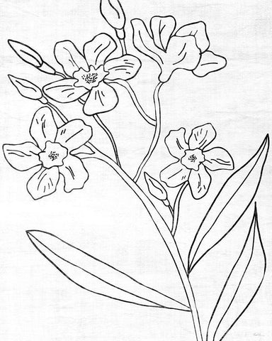 Botanical Sketch II Black Ornate Wood Framed Art Print with Double Matting by Carpentieri, Natalie