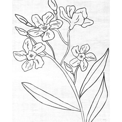 Botanical Sketch II White Modern Wood Framed Art Print by Carpentieri, Natalie
