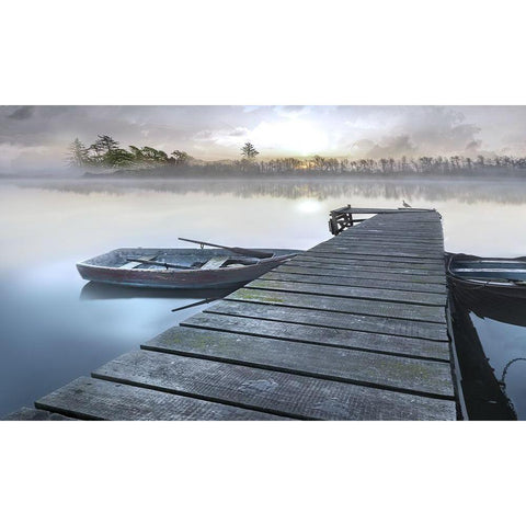 Misty Black Modern Wood Framed Art Print by Calascibetta, Mike
