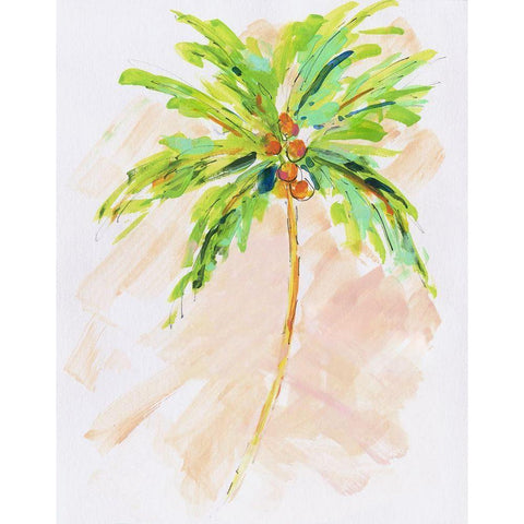 Coconut Palm II Black Modern Wood Framed Art Print with Double Matting by Swatland, Sally