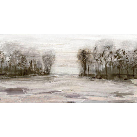 Near Graham Mountain Black Modern Wood Framed Art Print with Double Matting by Jill, Susan
