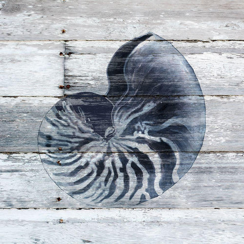 Blue Nautilus Black Modern Wood Framed Art Print by Robinson, Carol