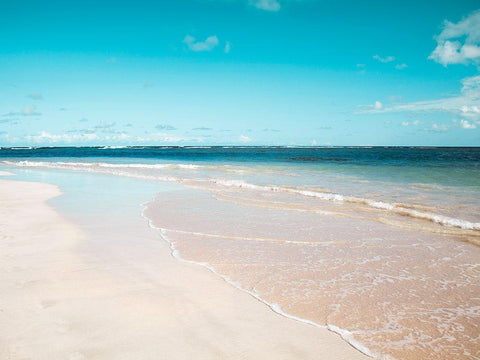 Sugar Sand Black Ornate Wood Framed Art Print with Double Matting by Delimont, Danita