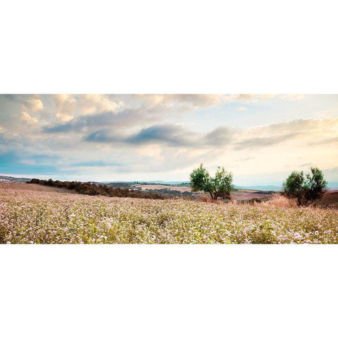 Tuscan White Modern Wood Framed Art Print by Delimont, Danita
