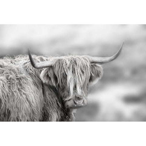 Roaming Isle of Skye Black Modern Wood Framed Art Print with Double Matting by Delimont, Danita