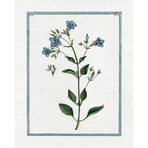 Shabby Chic Botanical II White Modern Wood Framed Art Print by Donovan, Kelly