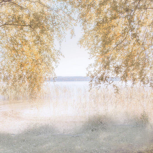 Image Only