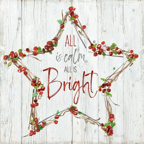 Bright Star Wreath White Modern Wood Framed Art Print by Swatland, Sally